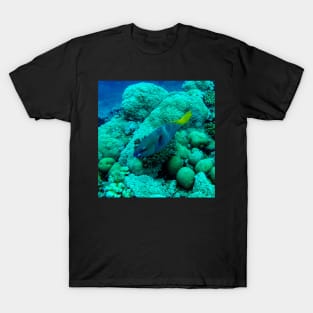 Parrot fish T-Shirt